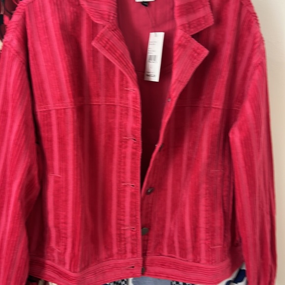 LAST CHANCE | NWT | CAbi 4124 Cheeky Topper - Picture 9 of 11